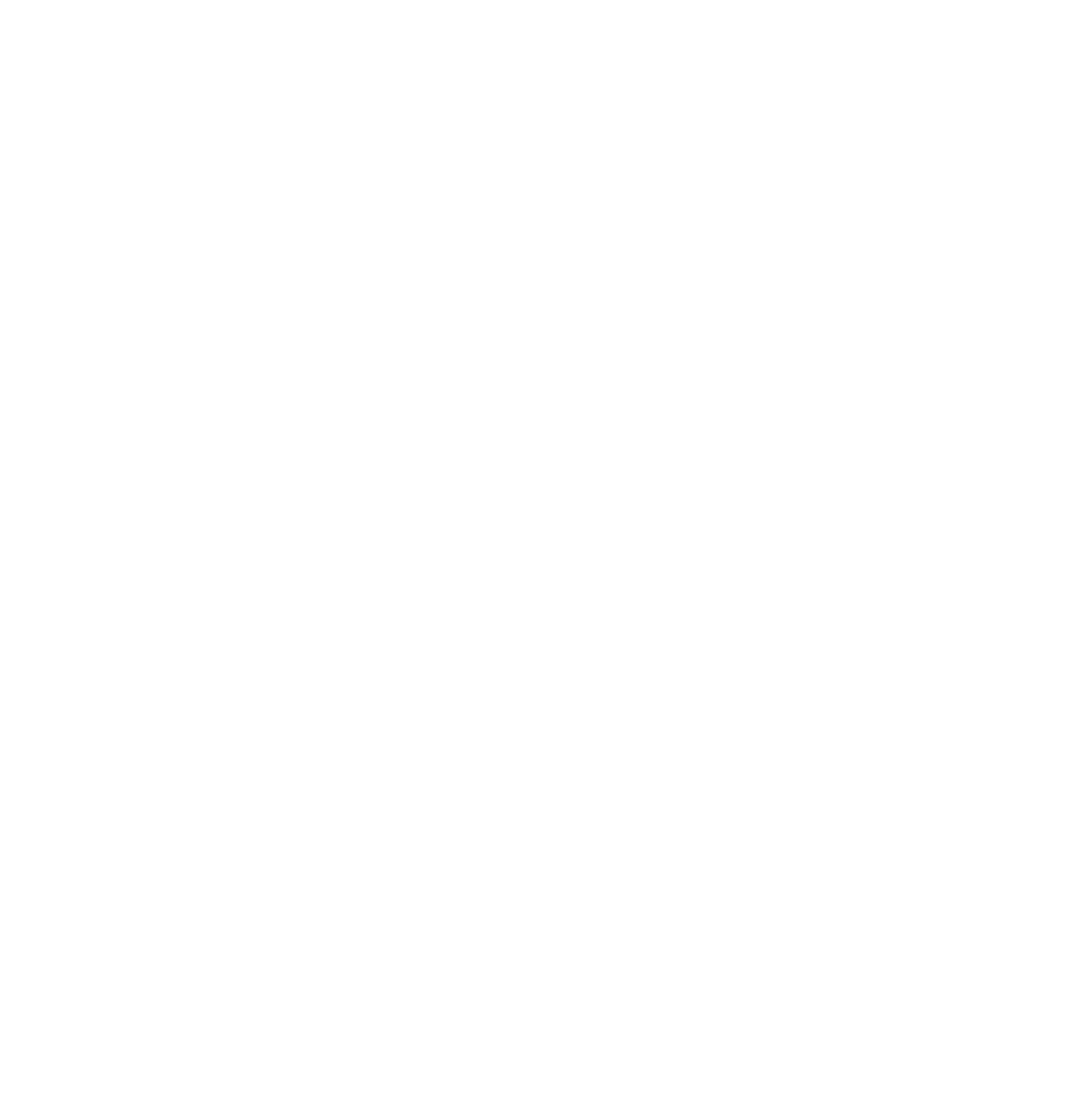 Logo Skansen